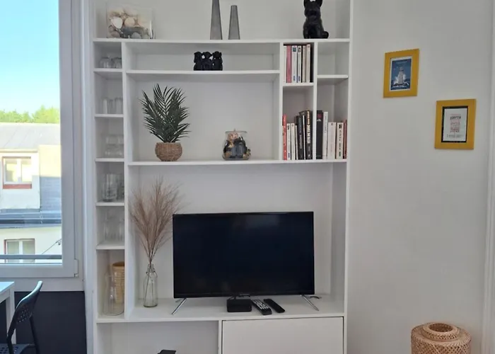 Lumineux Dans Les Hauts De Recouvrance Brest